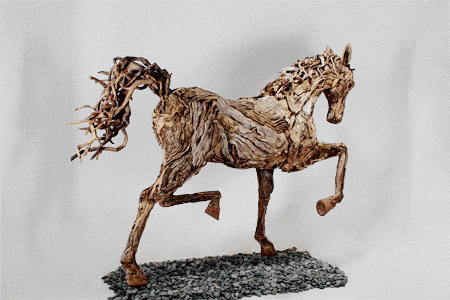 showhorse.gif showhorse.gif